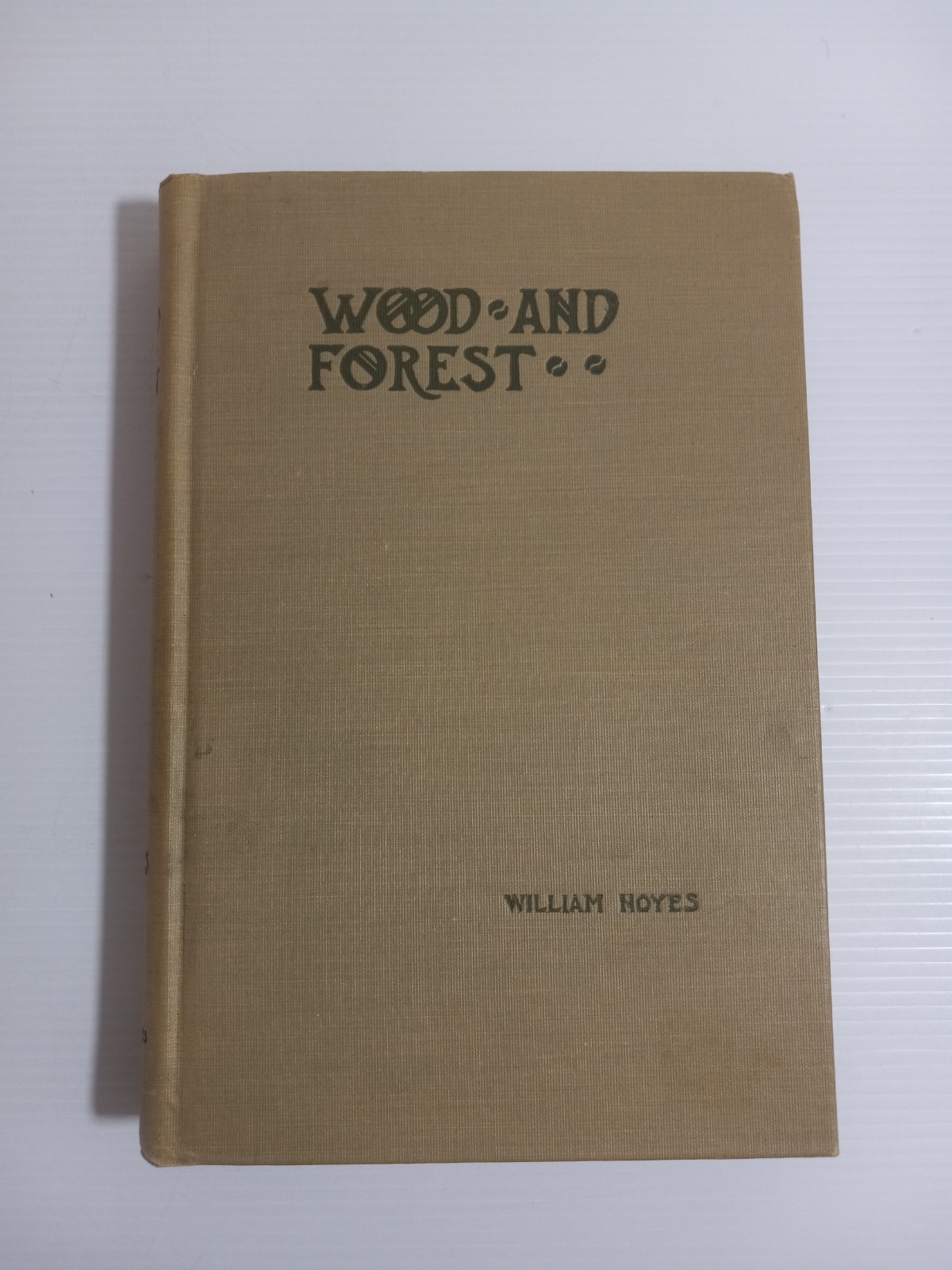 Wood and Forest by William Noyes Educational Vtg 1912 HC Vtg Manual Arts Press