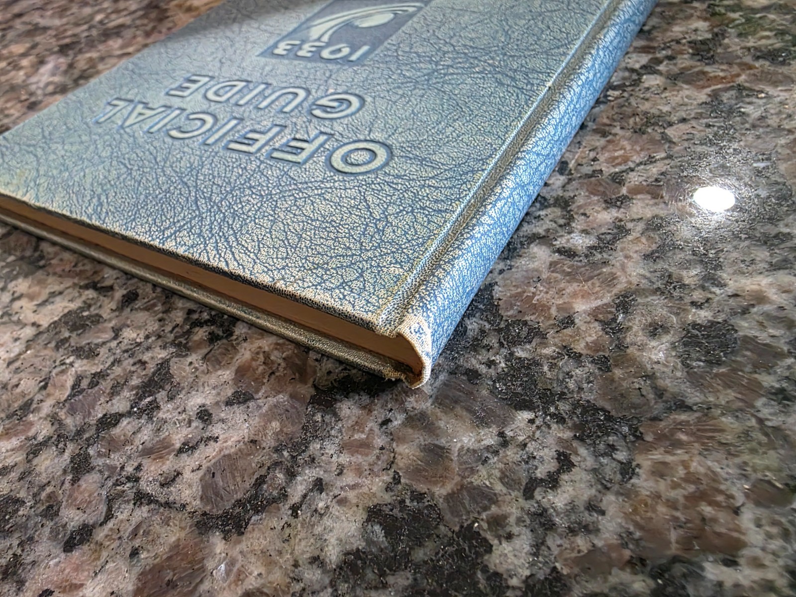 1933 Century of Progress Official Guide Book Of the Fair Chicago World’s Fair LB