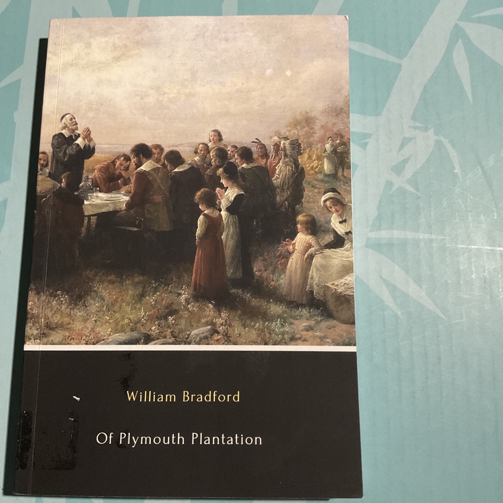 William Bradford Of Plymouth Plantation