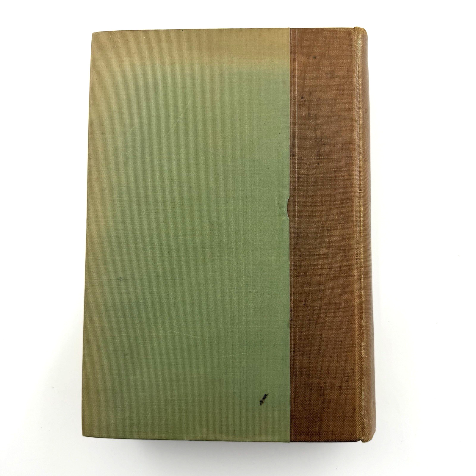 THE ALPS FROM END TO END William Martin Conway HC First Edition 1895