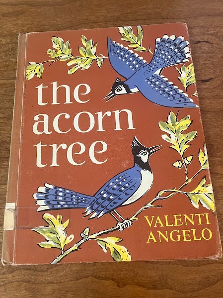 The Acorn Tree Valenti Angelo