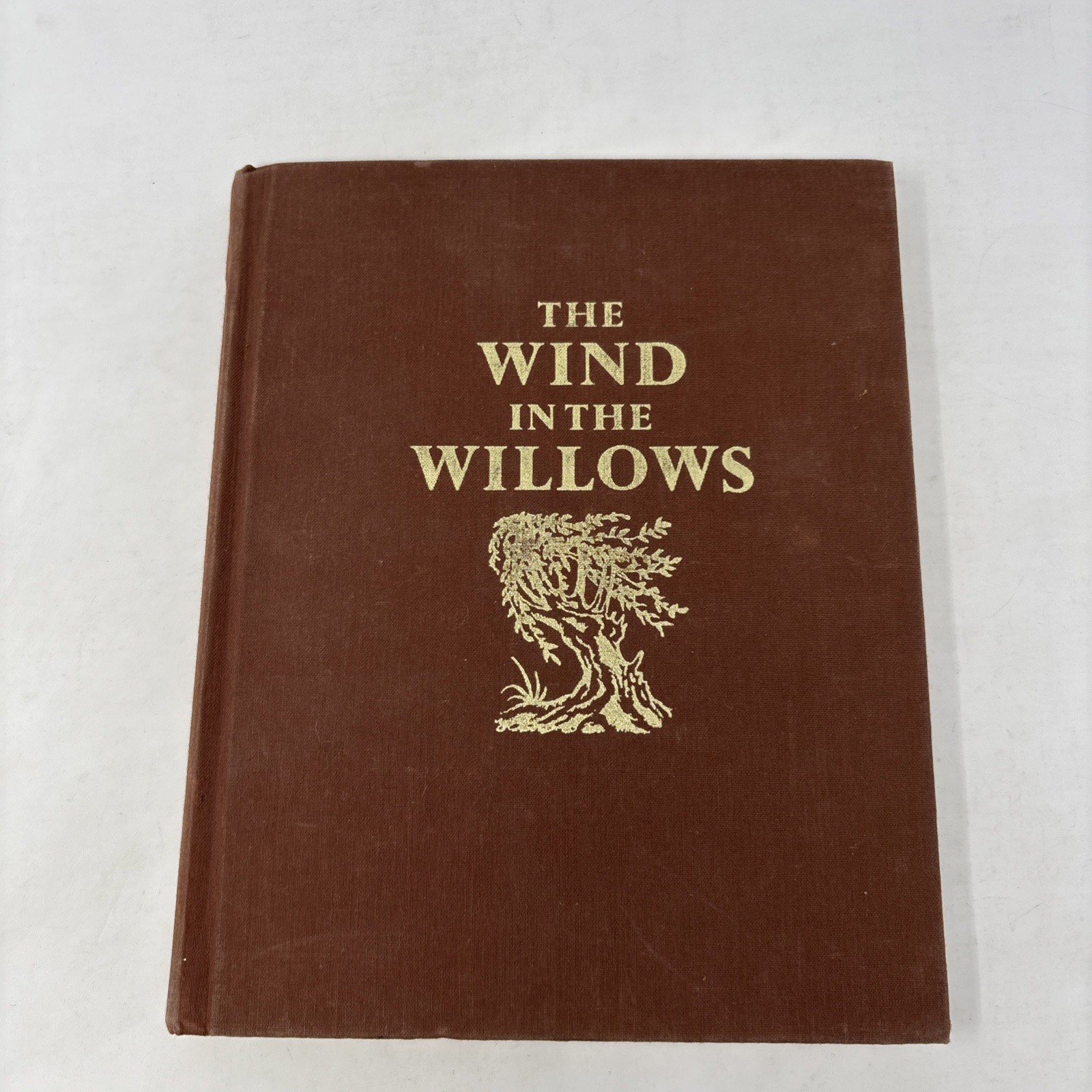 The Wind In The Willows Kenneth Grahame Michael Hague 1980 HC Illustrated