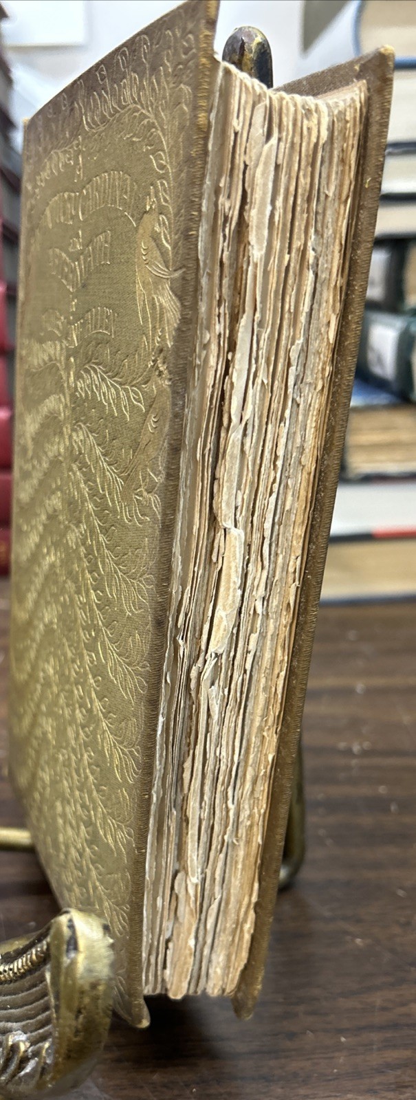 1900 Kentucky Cardinal Aftermath James Lane Allen Hugh Thomson Illustrated