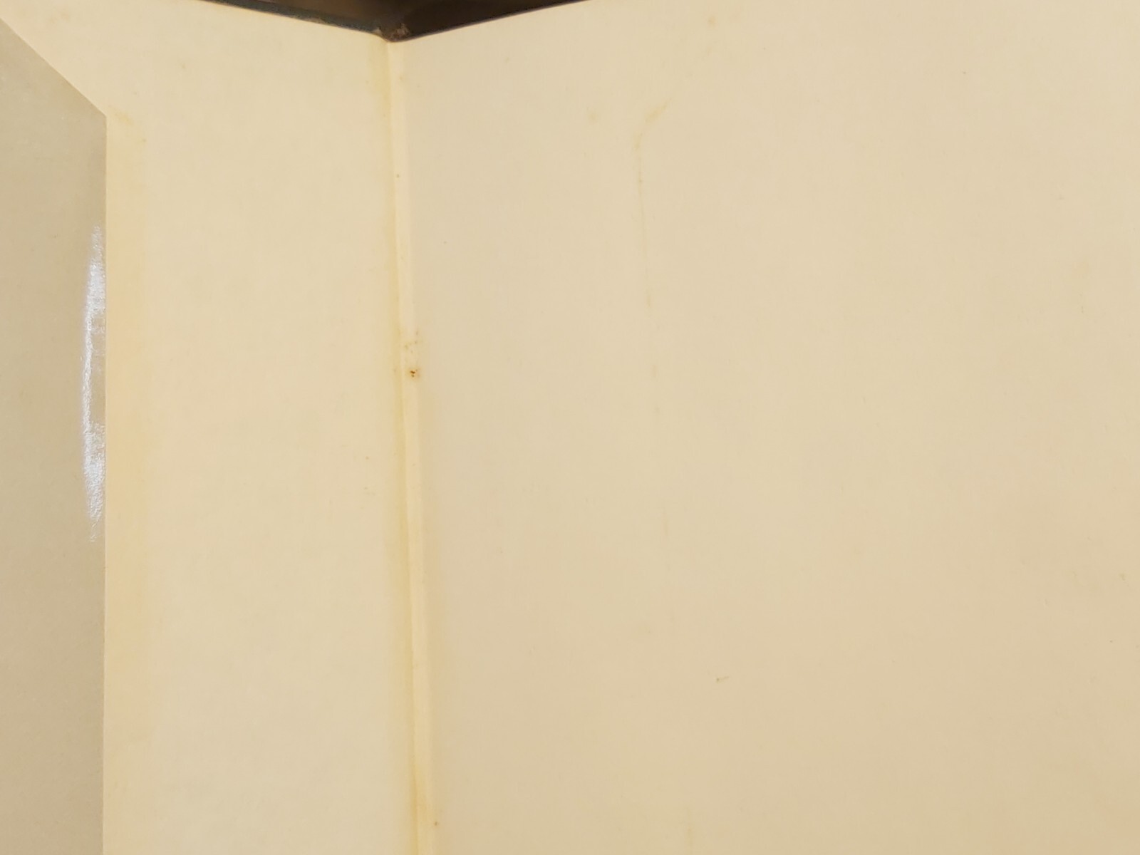 The Story of the Irish Race Hardcover By Seumas MacManus 32nd Print 1979 Vintage