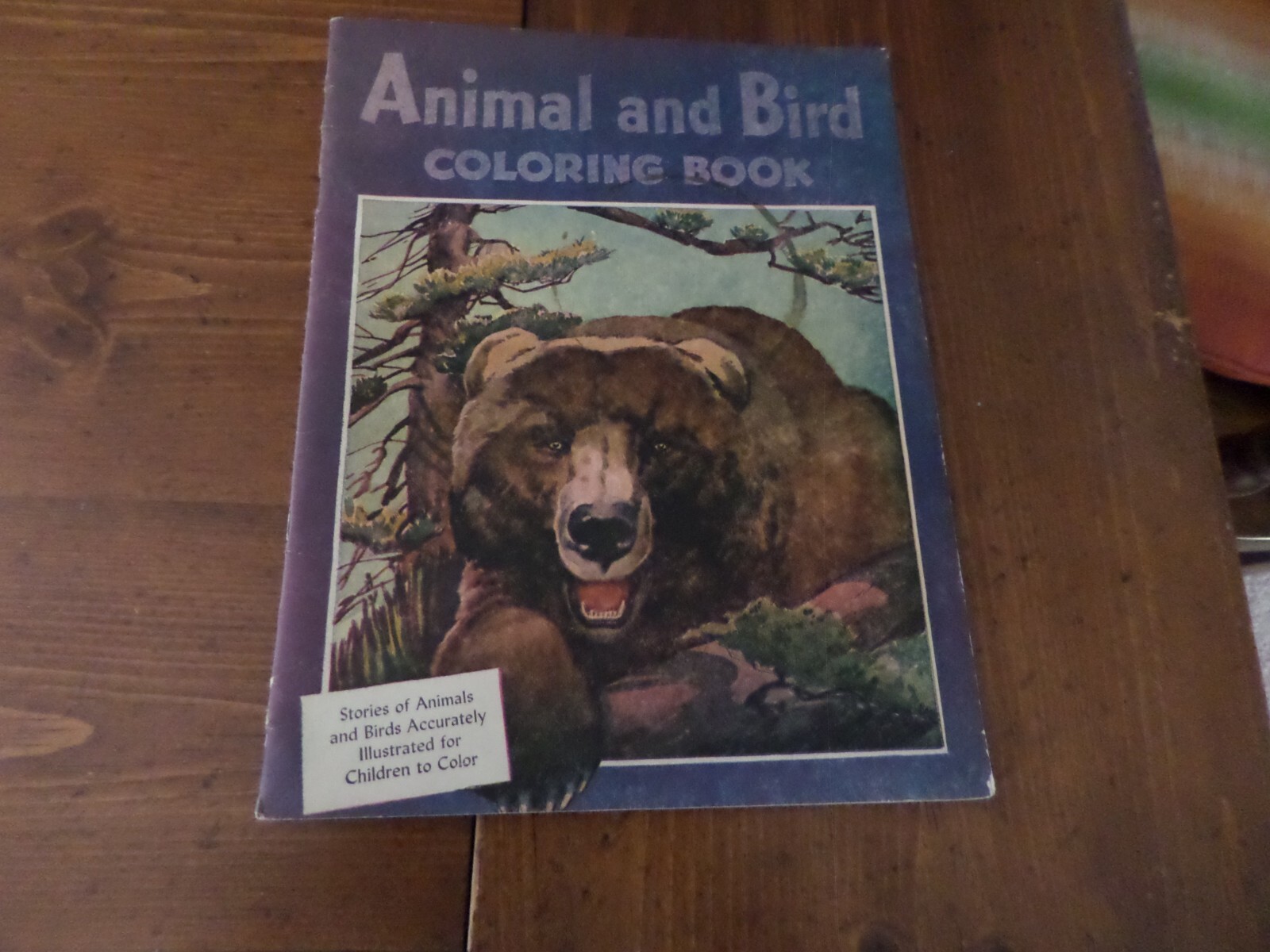 Animal And Bird Coloring Book,1944(Vintage Used Coloring Book)