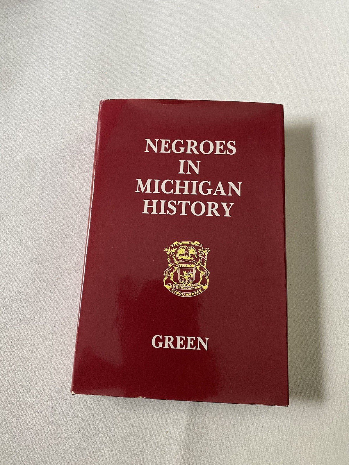 1985 Vtg 3rd Edition Negroes In Michigan History John Green Freedmens Progress