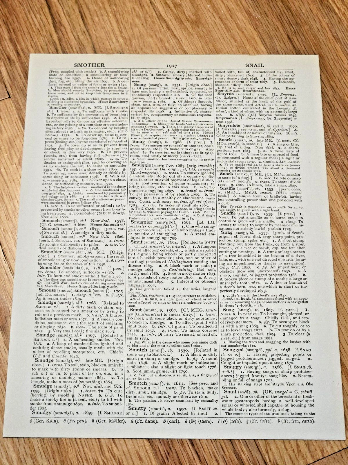 Vintage – Teacup and Octopus Dictionary Art Print – Unbranded – Digital Print