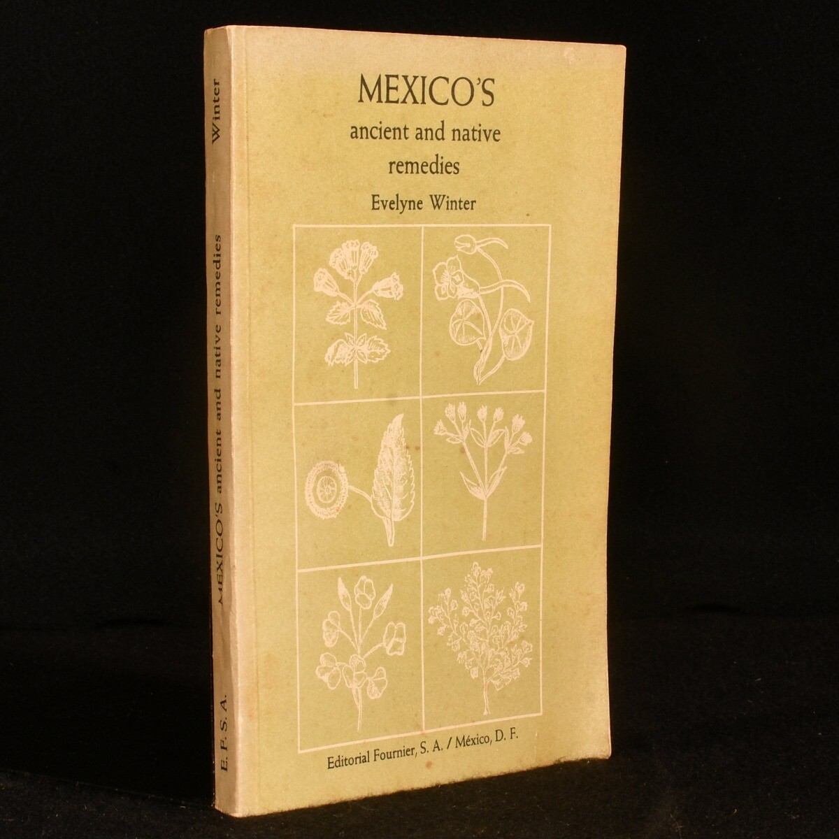 1972 Mexico’s Ancient and Native Remedies by Evelyne Winter Illustrated Scarce