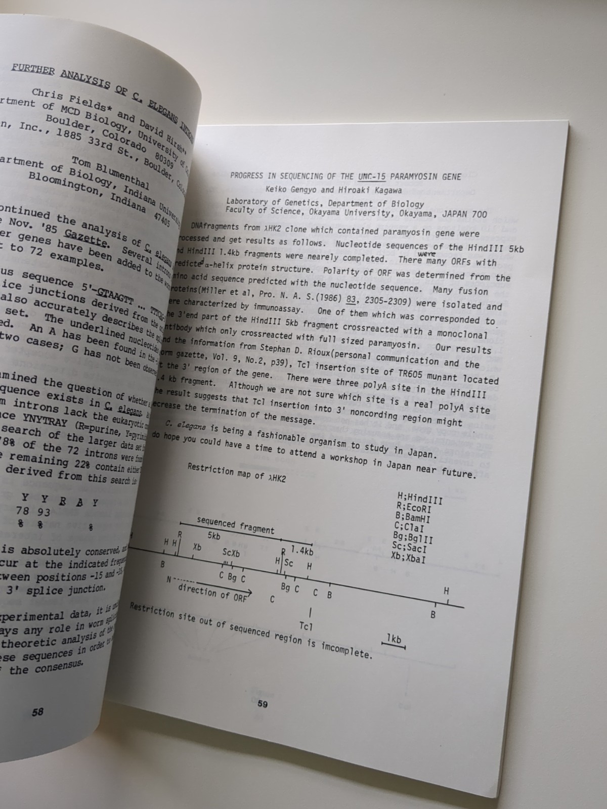 Worm Breeder’s Gazette Volume 9 No 3 1986 – George Poinar Jr. Estate