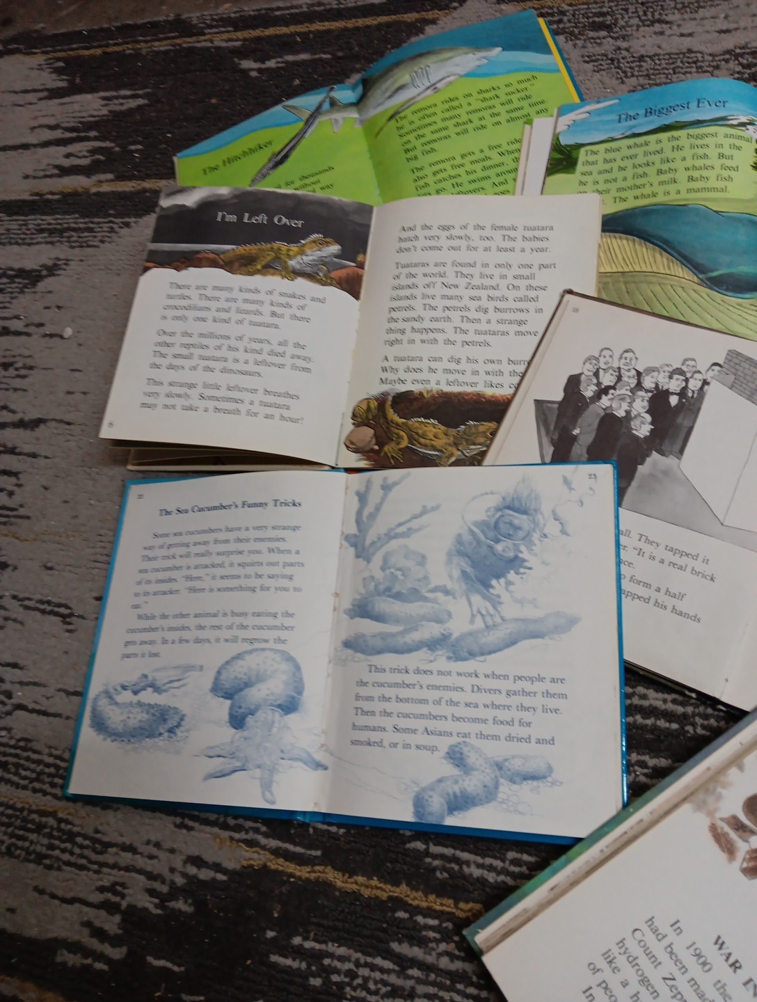 Animals Do The Strangest Things Published 1964-1970 RandomHouse 7 Books ClubEd