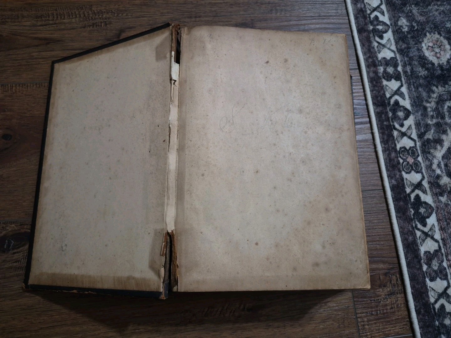 The Holy Bible American Bible Society 1859