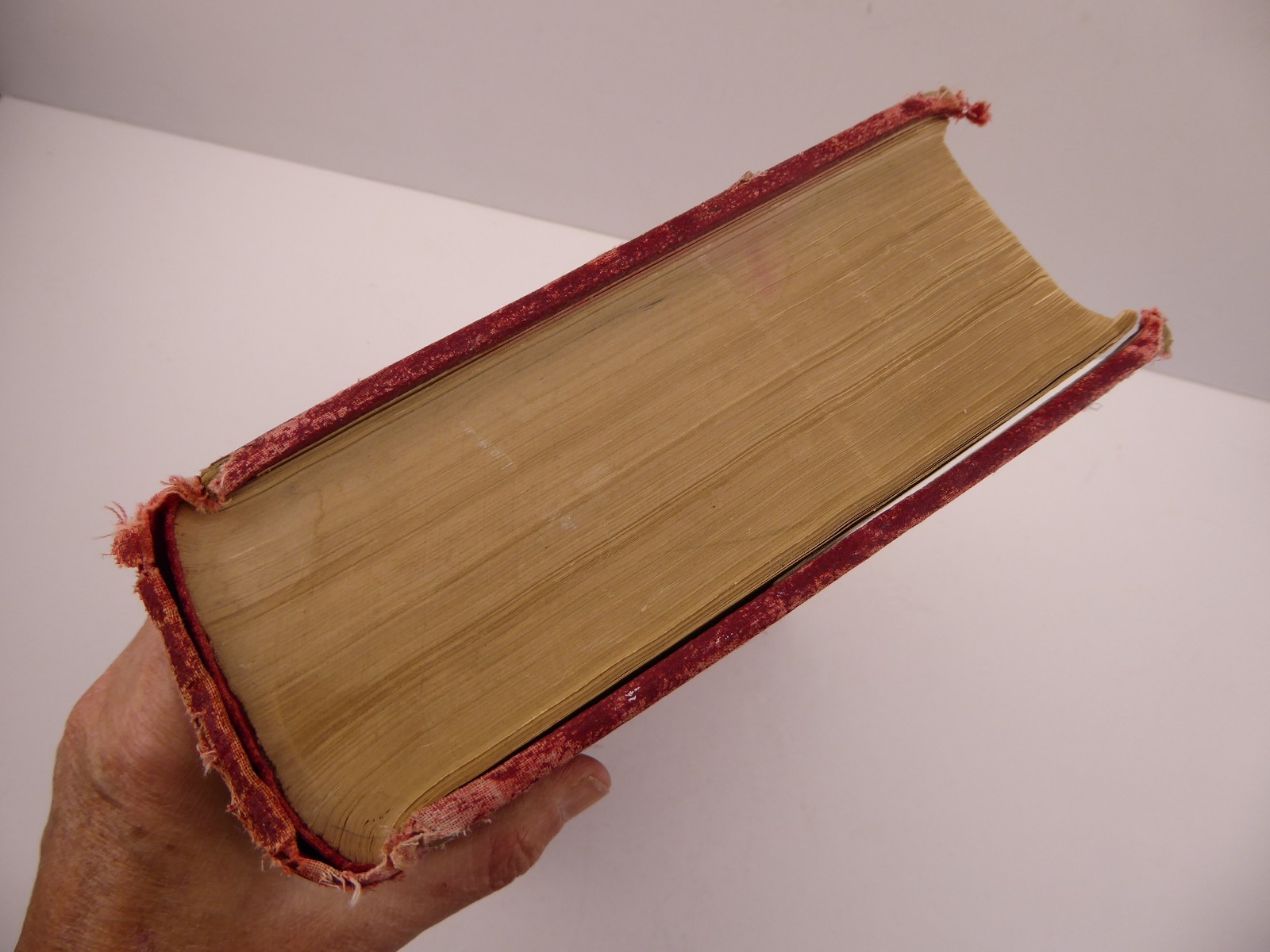Grays Anatomy 1930 Twenty-Second Edition Henry Gray F.R.S