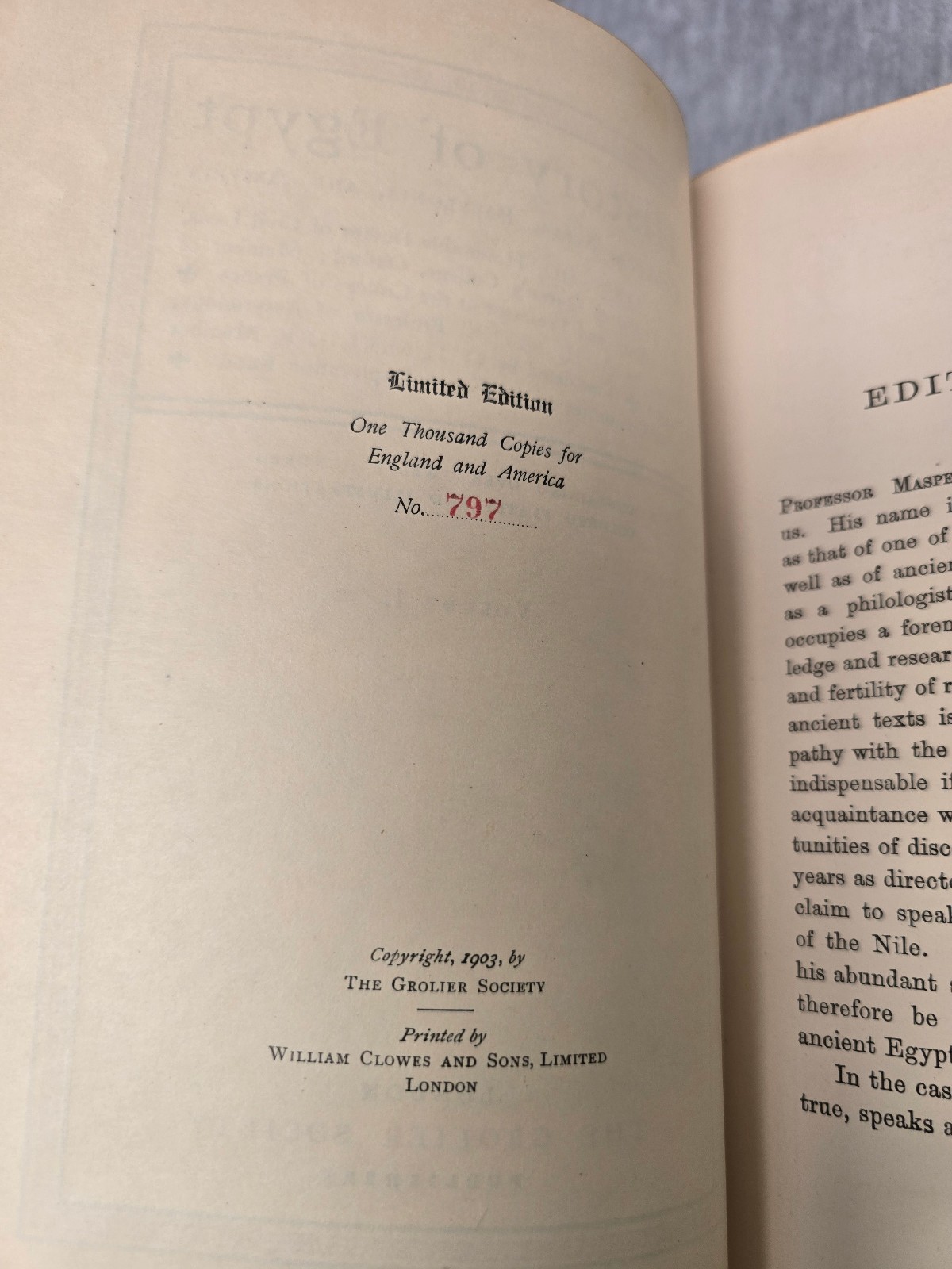 History of Egypt Grolier Society Limited Edition #797 Hardcover 1903 Volumes 1-2