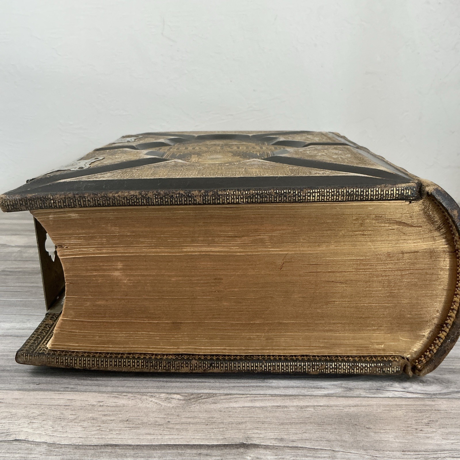 The Parallel Bible Old & New Testaments 2000 Illustrations 1885