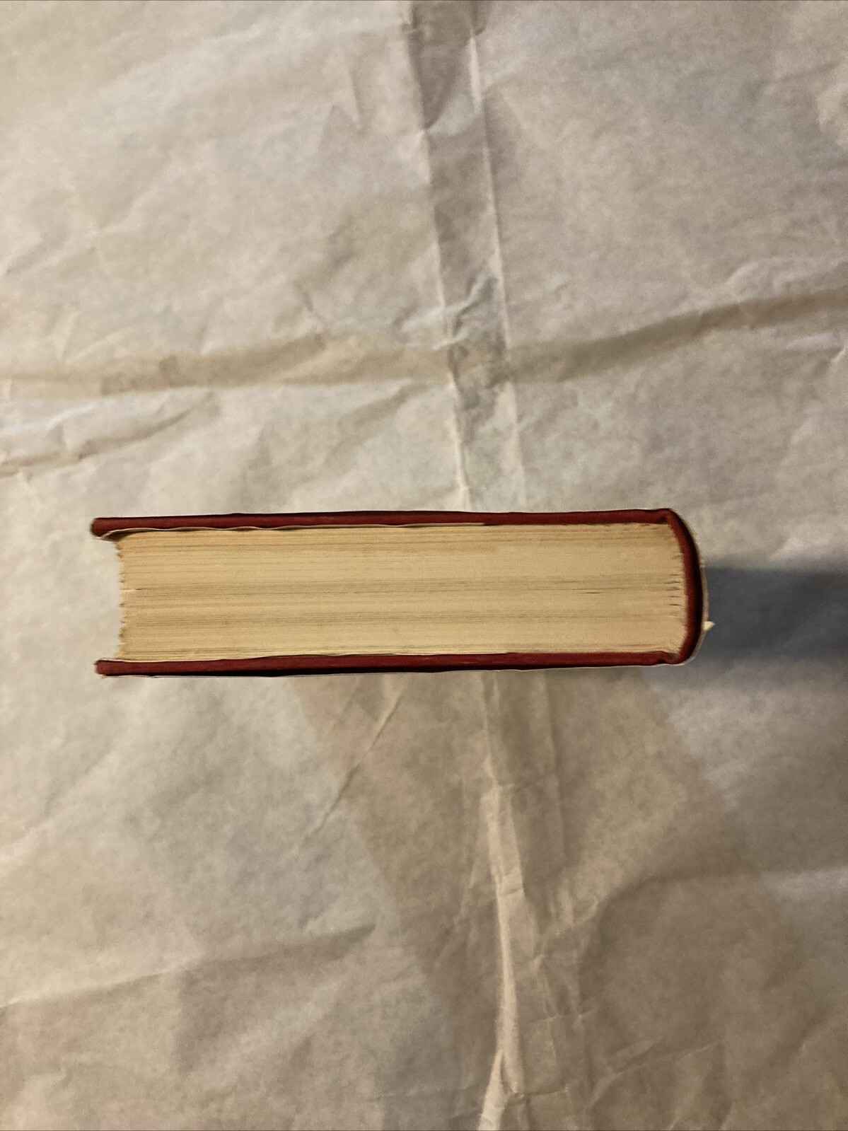 The Tin Drum (HCDJ, 1962, First US Edition & Printing) Gunter Grass
