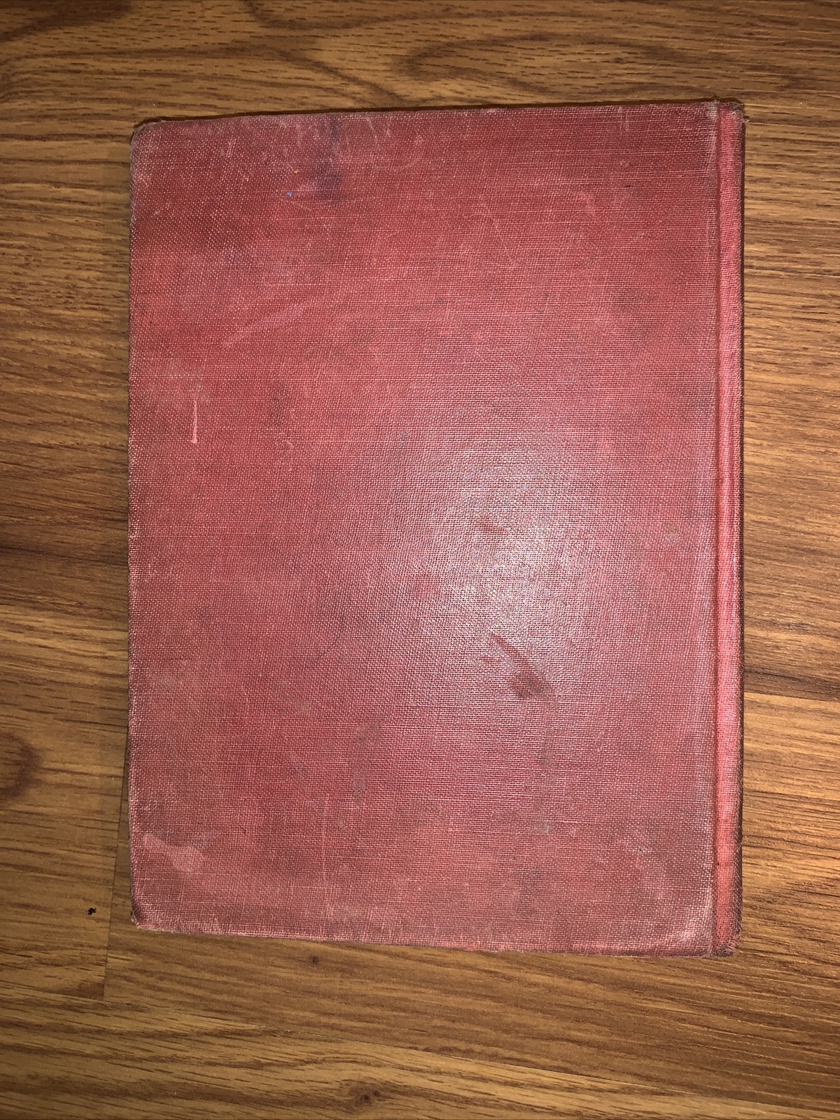The Northland Bird Life by Roy Snell 1924 Golden Book of Artic Books