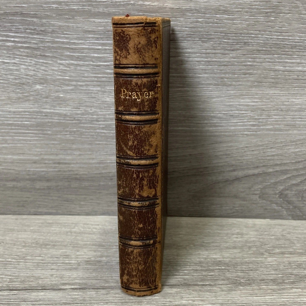 Antique Book Of Common Prayer Protestant Episcopal Church 1867 By D Appleton 5”