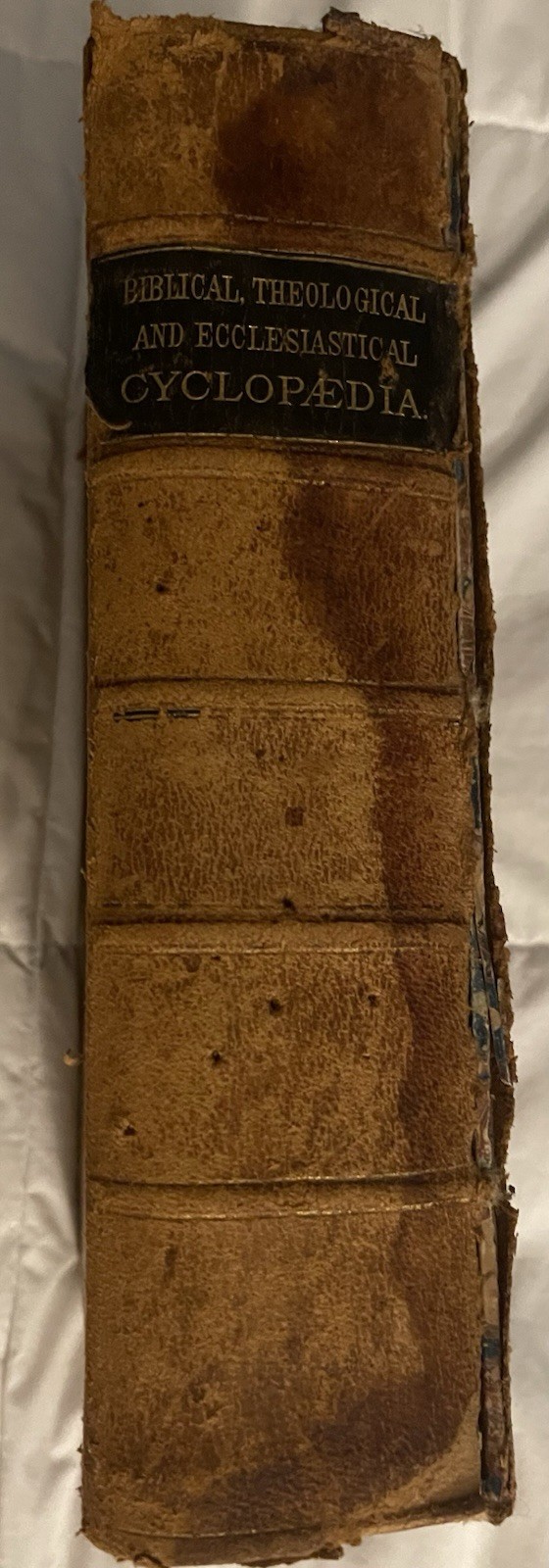 1886 Antique Biblical Cyclopaedia Vol X Leather HC Strong McClintock