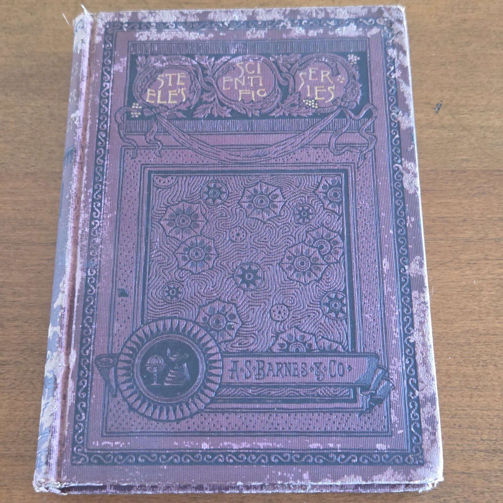 A Popular Zoology by J. Dorman Steele 1887 Scientific Series Book Students