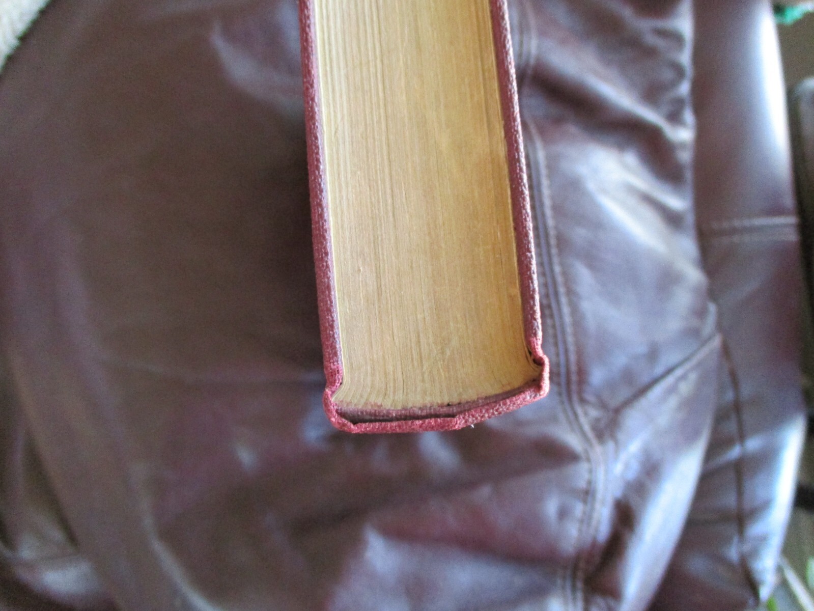 Why Die – Eugene Christian – Naturopath 1928 1st Edition Scarce Autograph M9