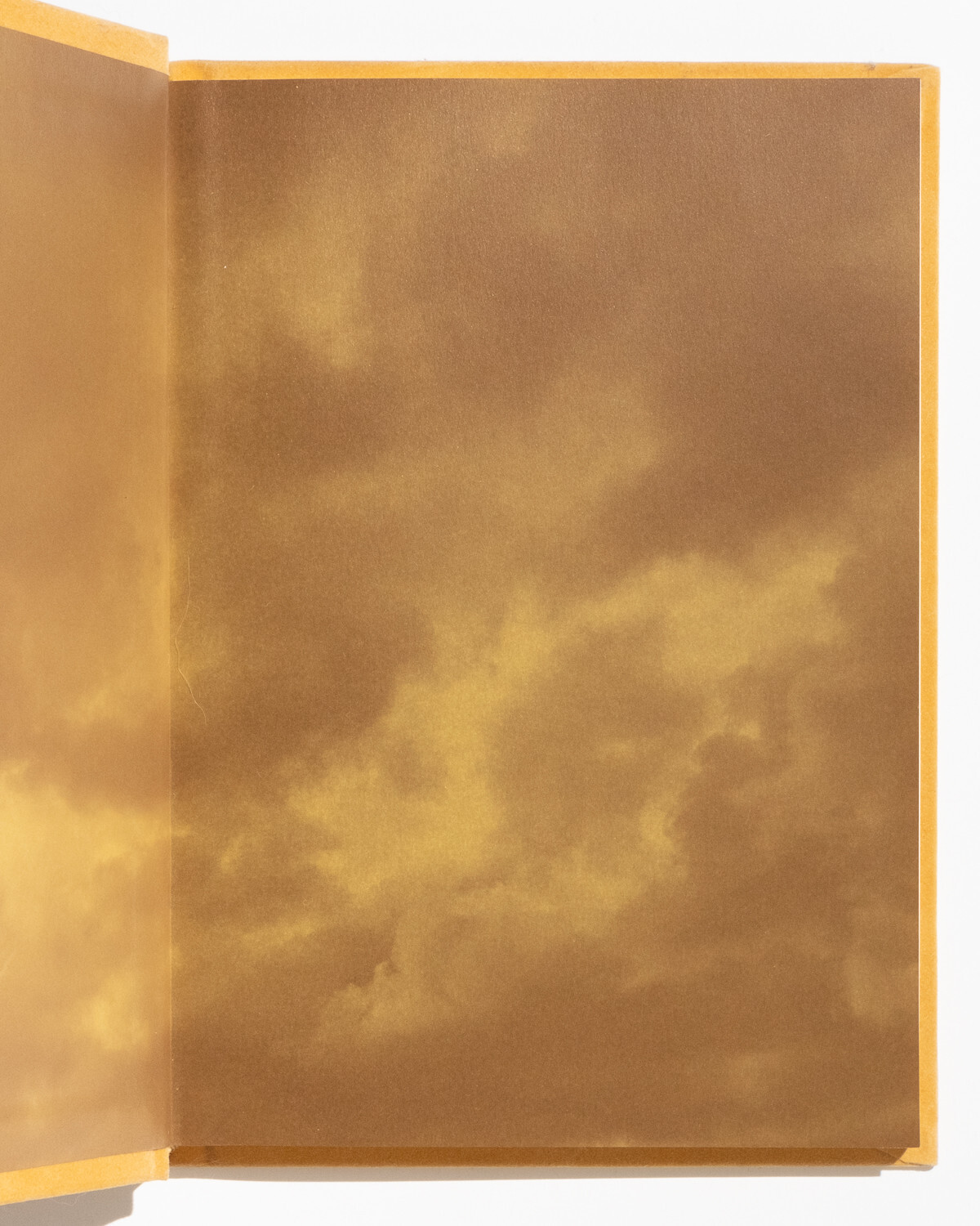 Does Yellow Run Forever? Paul Graham MACK First Edition 2014 RARE OOP