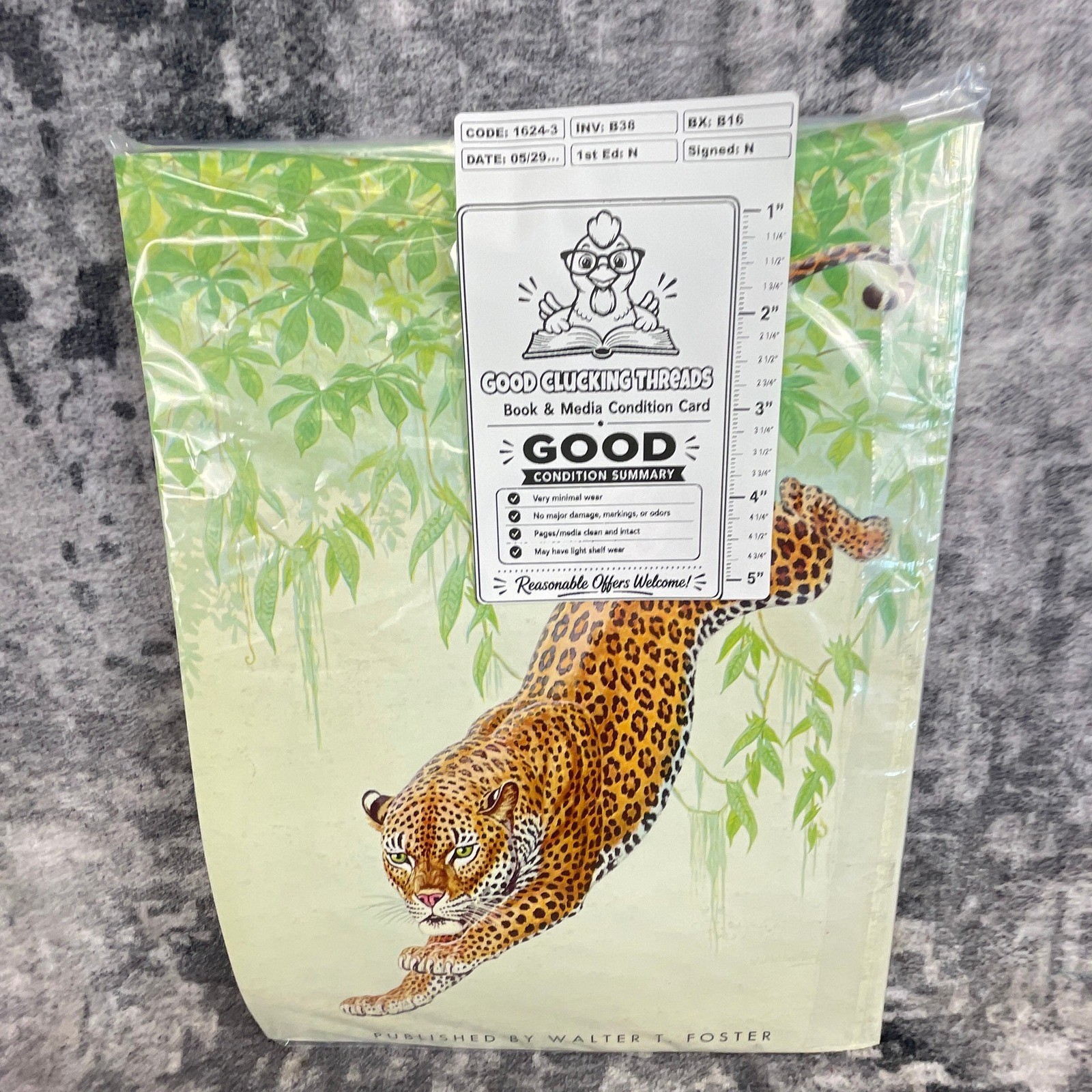 The Cats in Action Walter T Foster Art Book Walter Wilwerding Tiger Leopard