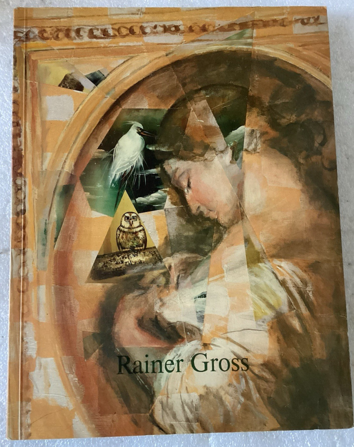 Rainer GROSS: Die Brustprufung 13 Jahre in New York The Breast Exam/VERY GOOD PB