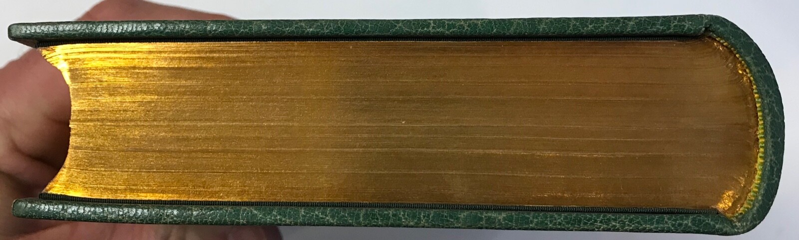 Alphonse Daudet Sapho George Barrie & Sons 1897 Fine Binding Morocco #1/10
