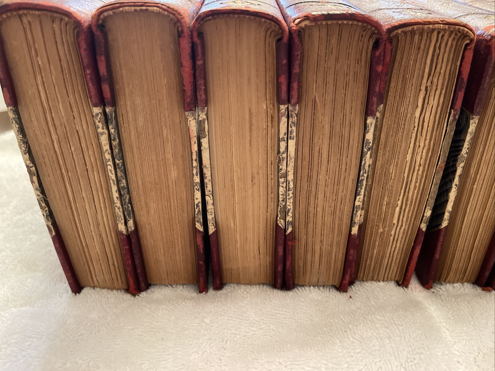 12 Matching Ornate Bindings by L. Muhlbach 1866