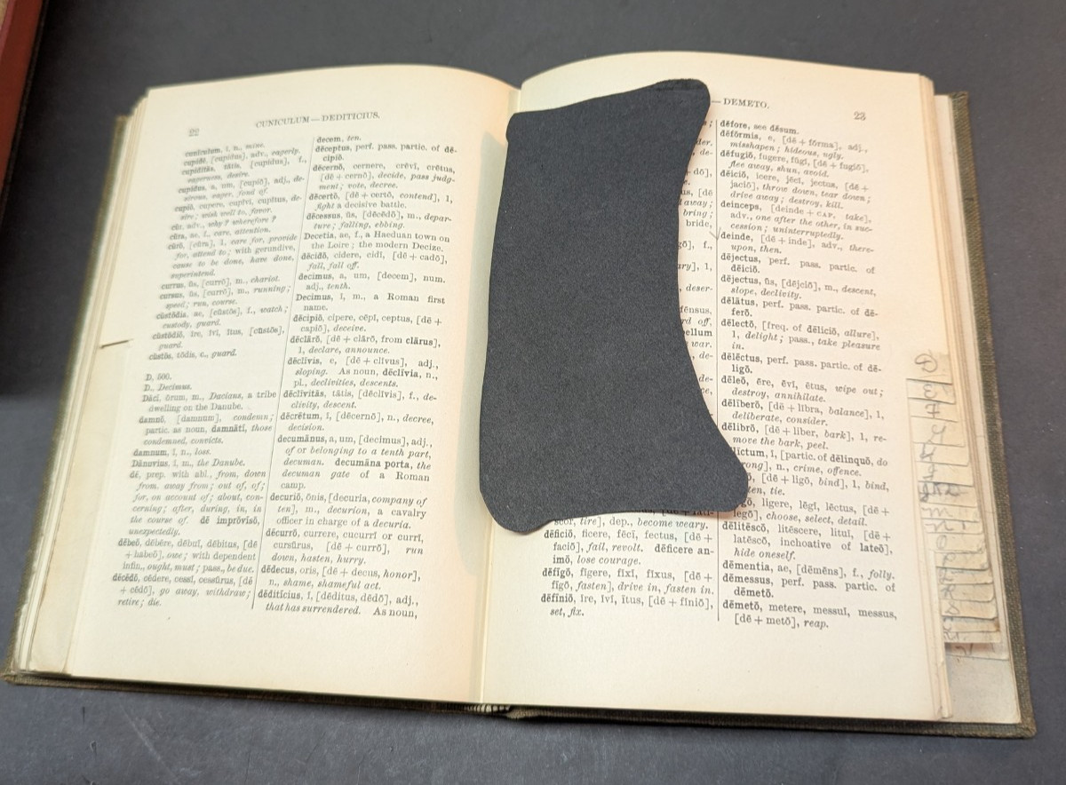 Caesar’s Gallic War by Charles E. Bennett 1903 Books I-IV Notes Hardcover VTG