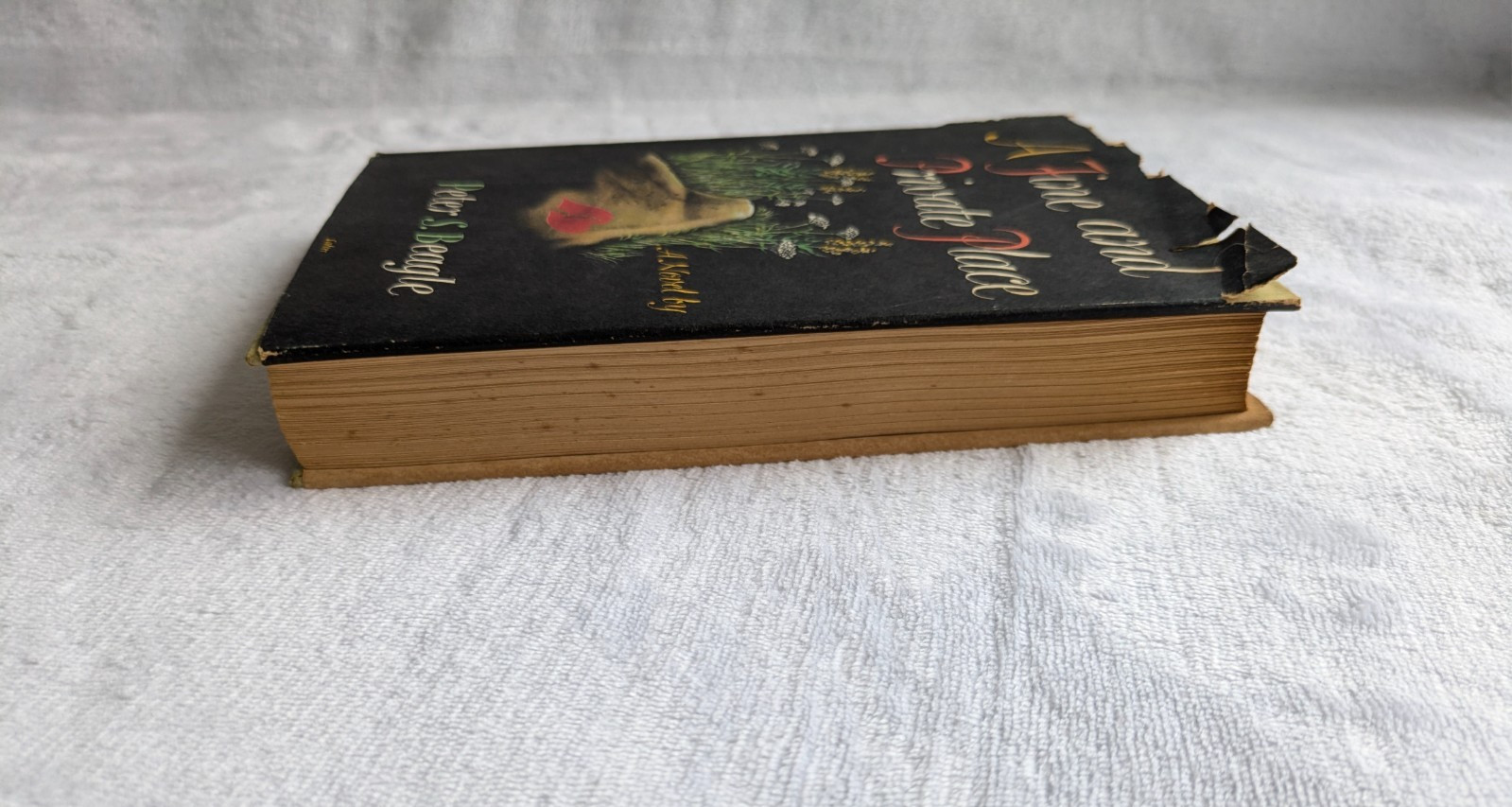A Fine And Private Place Peter S. Beagle 1960 First Edition Hardcover Fantasy