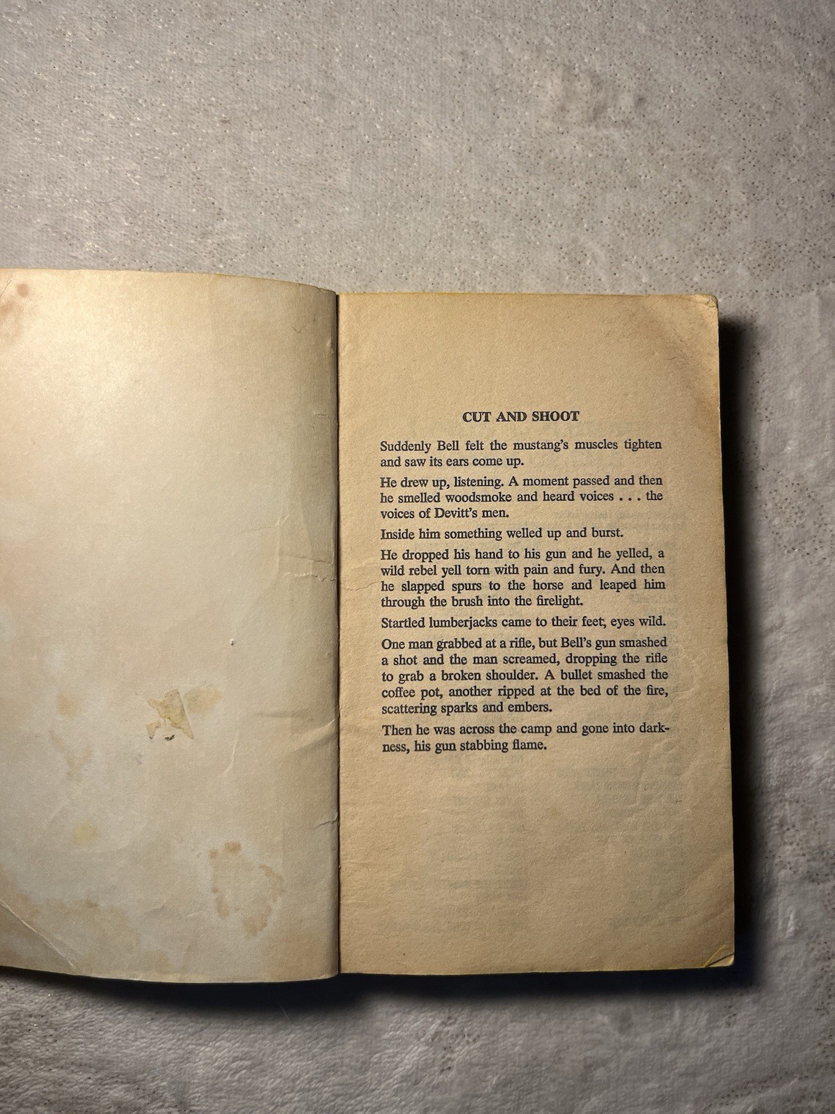 Vintage Louis L’Amour 2-book set: Mustang Man 1966+Guns Of The Timberlands 1955