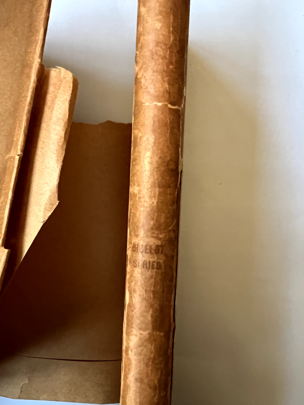 The Sonnets of Michaelangelo- 1st Ed.- 1895-Limited 725 copies- Bibelot Series
