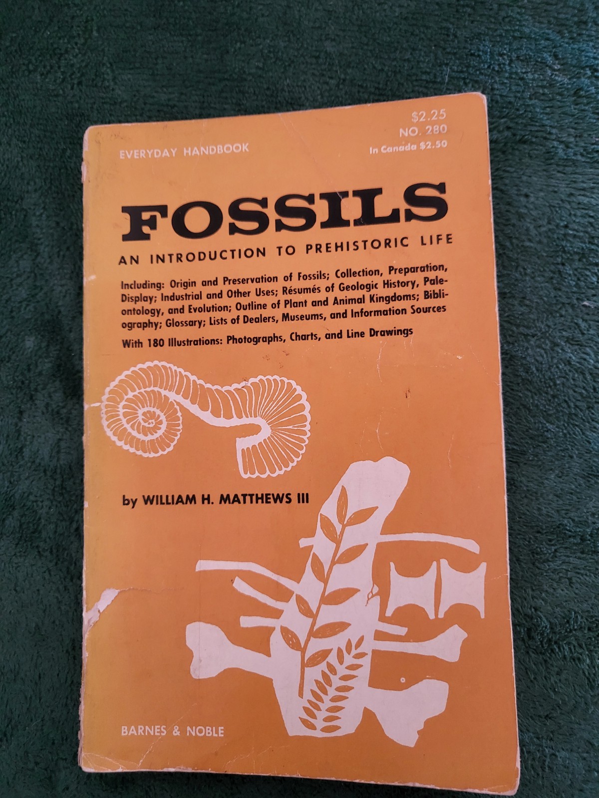 Fossils An Introduction to Prehistoric Life William H. Matthews Vintage PB Every