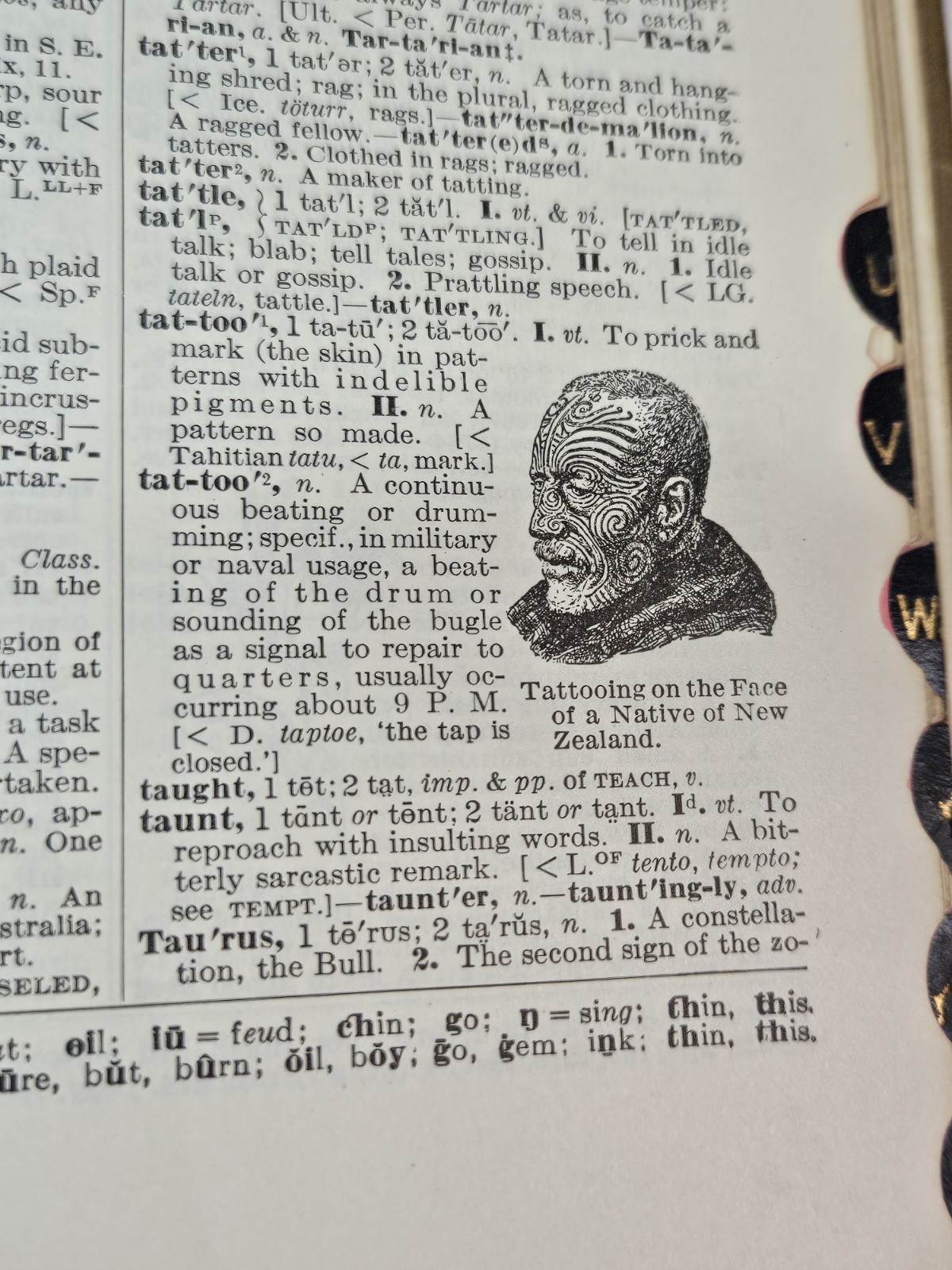 1925 Funk & Wagnalls Comprehensive Standard Dictionary Thumb Indexed Illustrated