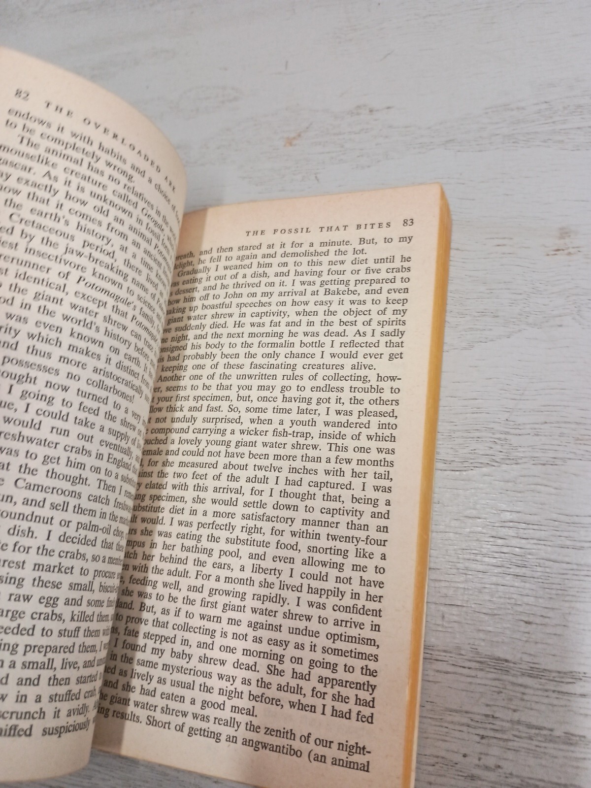 THE OVERLOADED ARK by Gerald M. Durrell; 1953 Paperback