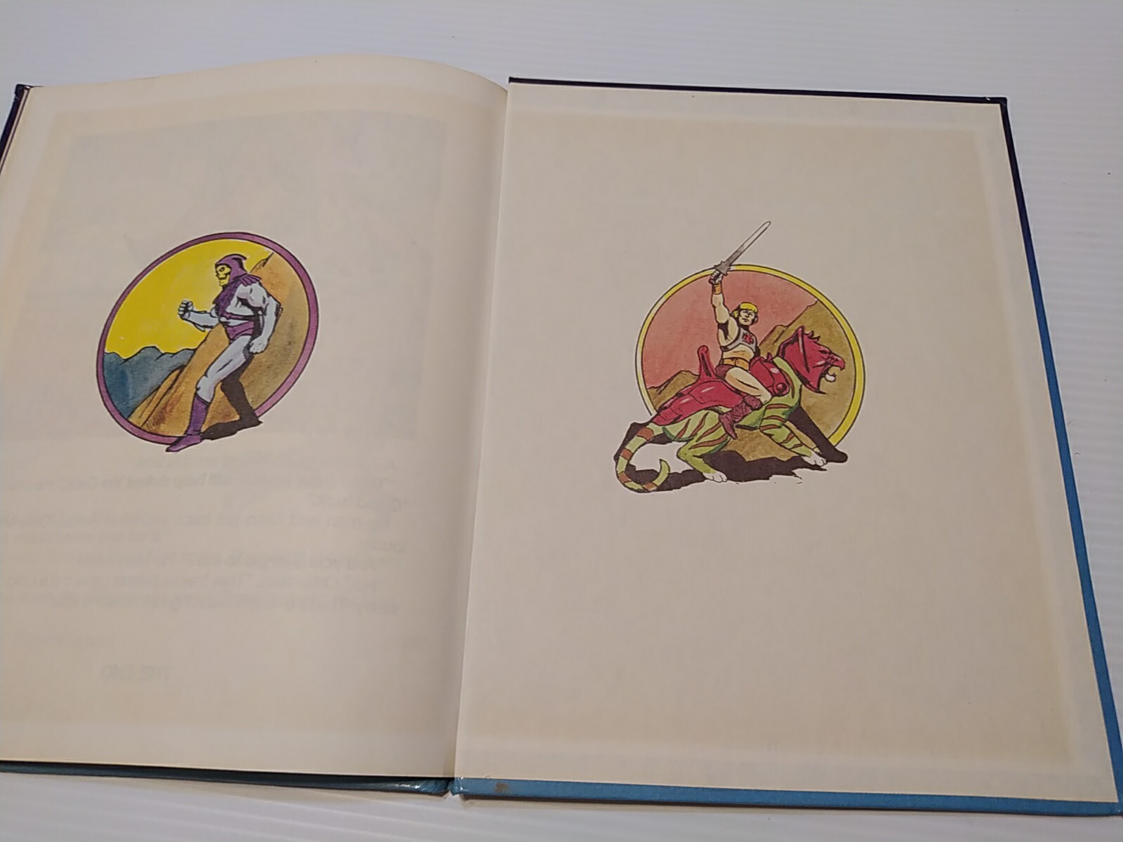 Vintage 80’s Masters of The Universe Skeletor’s Flower of Power 1985 Golden Book