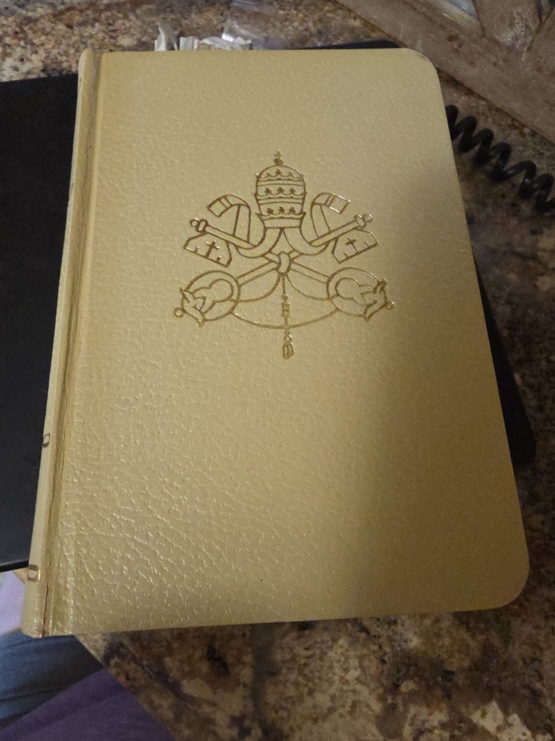 CHRIST And THE CHURCH Catholic Devotional MARY PERKINS RYAN 1960 Christian HC