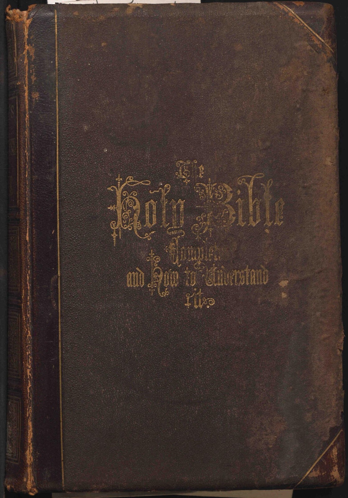 Family Bible for Lilly (Bible Rescue #302)