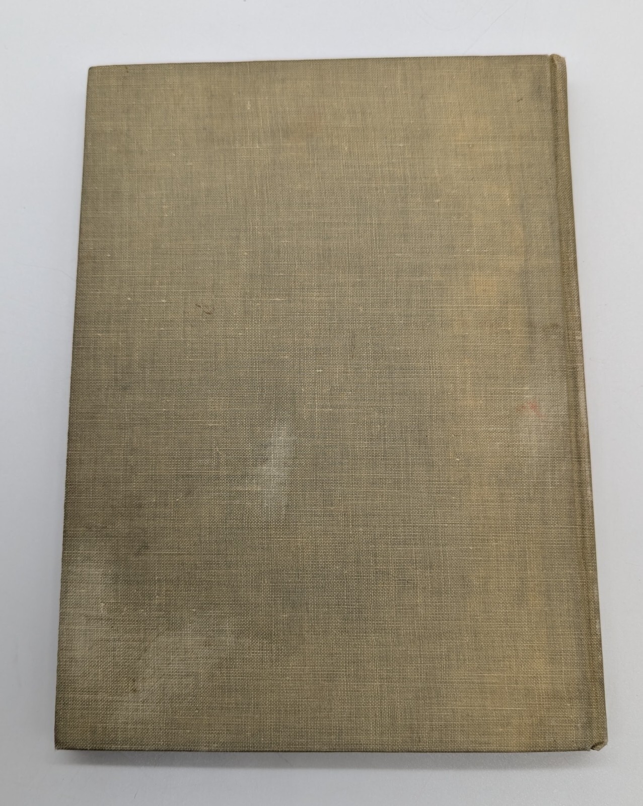 1908 Dream Blocks Aileen Cleveland Higgins Book Illustrated Jessie Willcox Smith