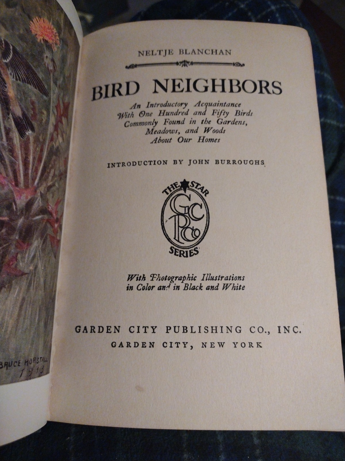 Bird Neighbors | Neltje Blanchan | Garden City, 1922 | Vintage Hardcover