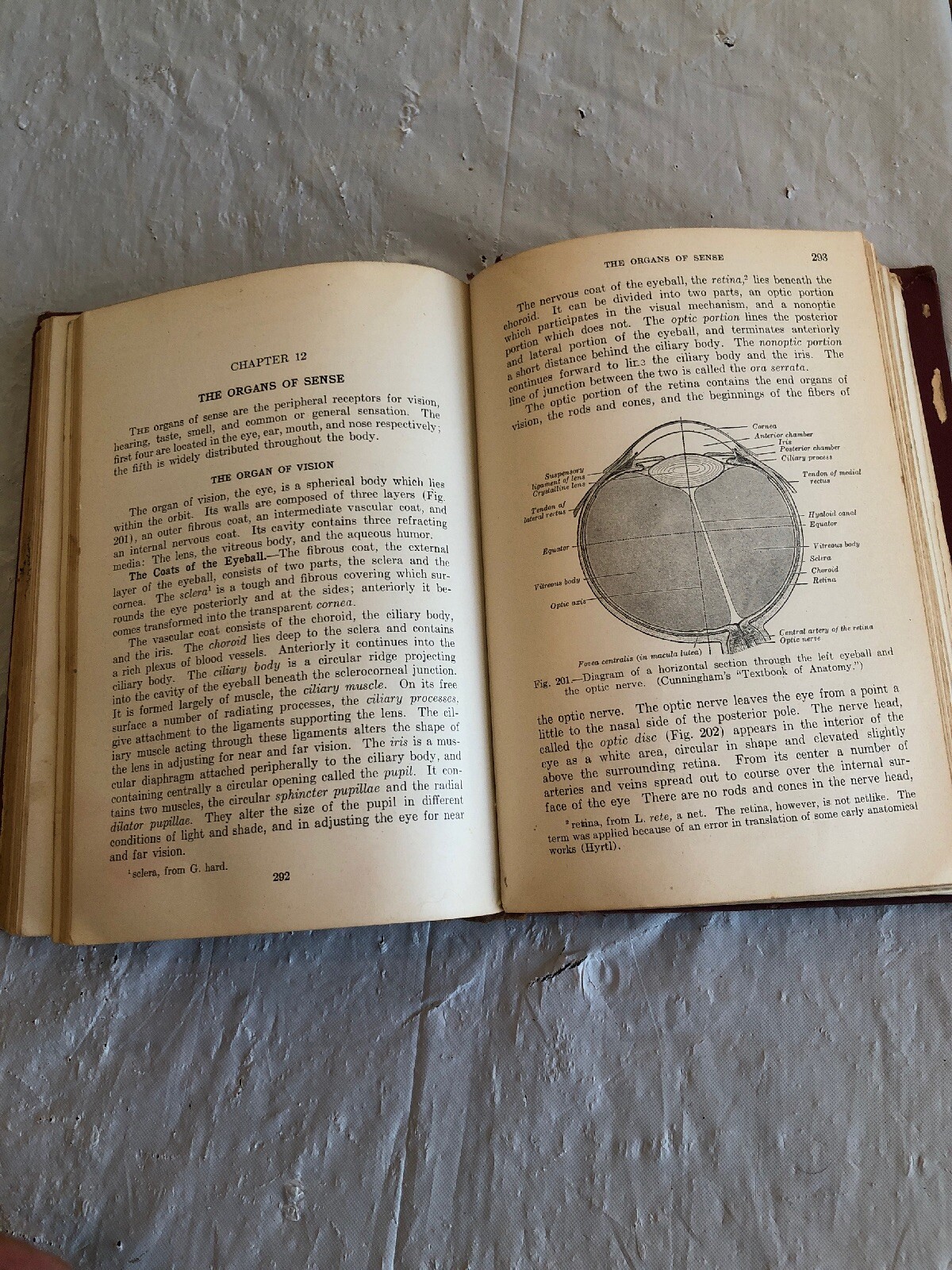 An introduction to Human Anatomy, First Edition.  1935