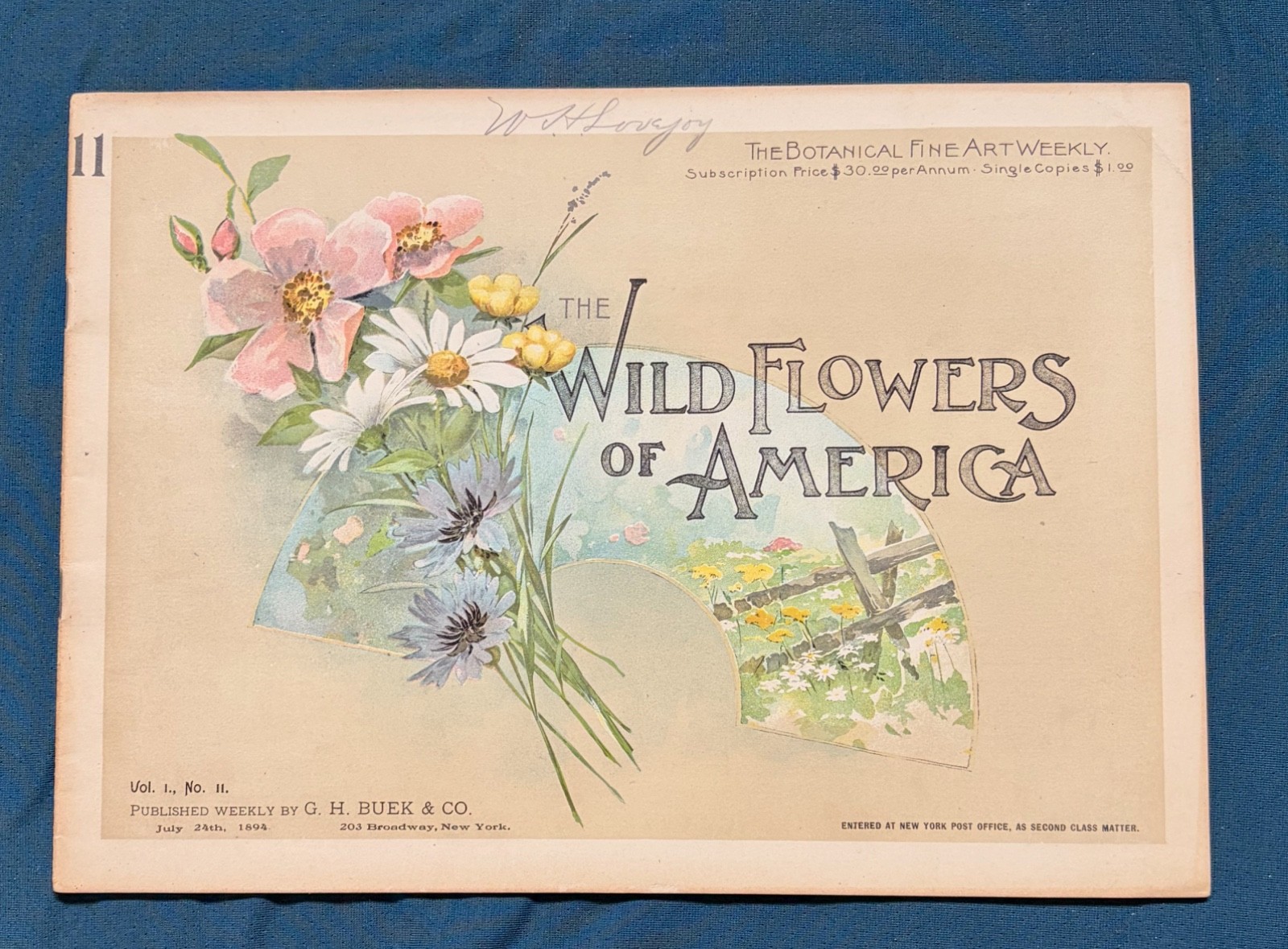 1894 The Wild Flowers of America Vol 1 No 11 ~ Maud Humphrey color art