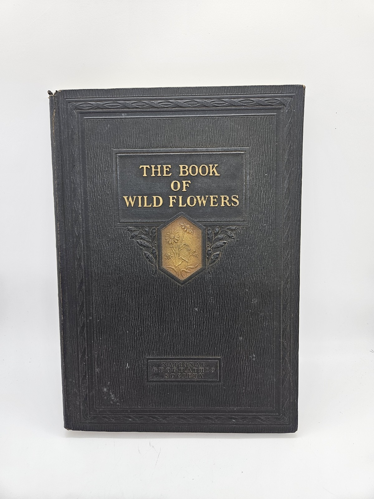 The Book of Wild Flowers National Geographic Society 1924 Color Illustrations