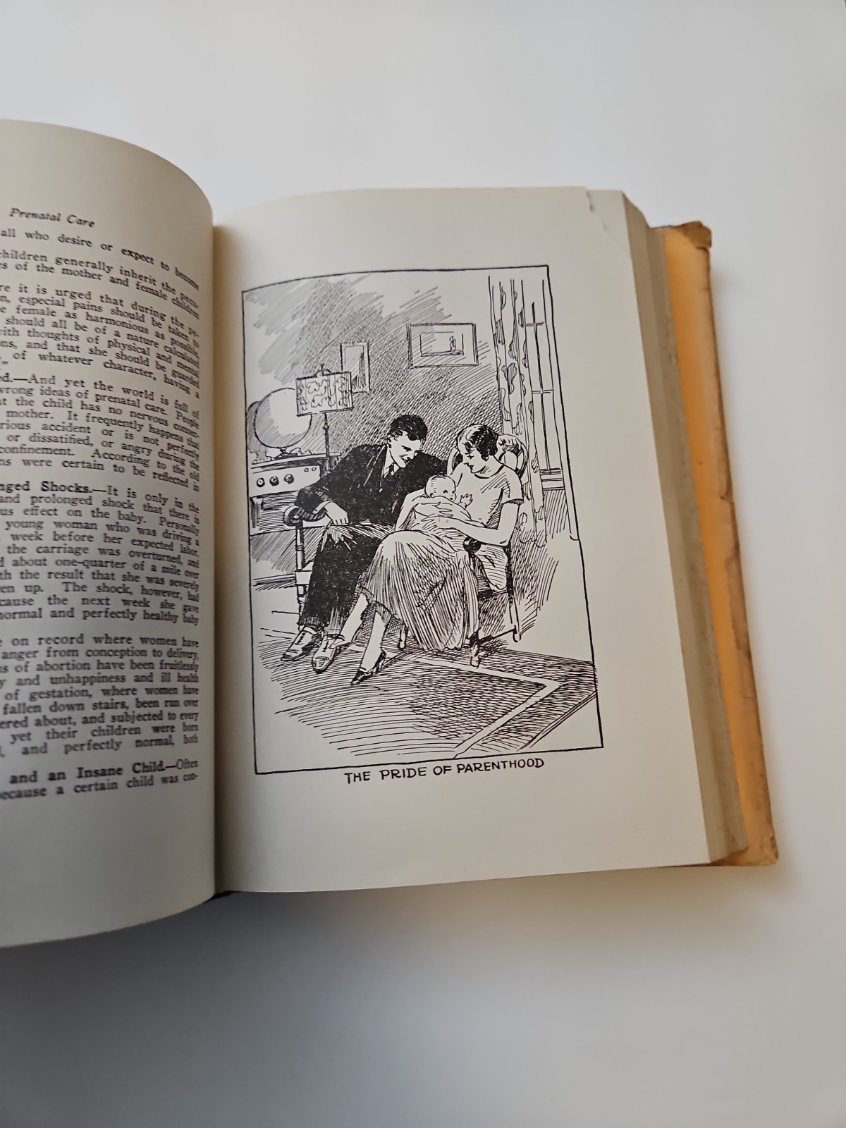 1934 „Safe Counsel“ or Practical Eugenics by Jefferis & Nichols – HC