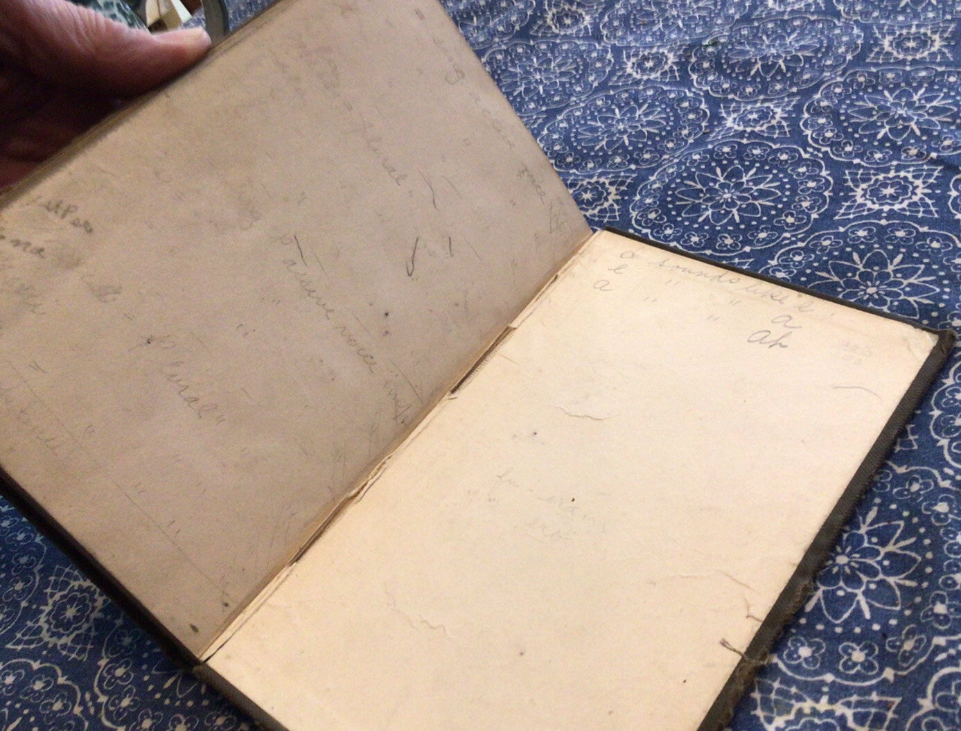 ANTIQUE BOOK/FIRST YEAR LATIN/COLLAR AND DANIEL/GINN AND COMPANY 1899.