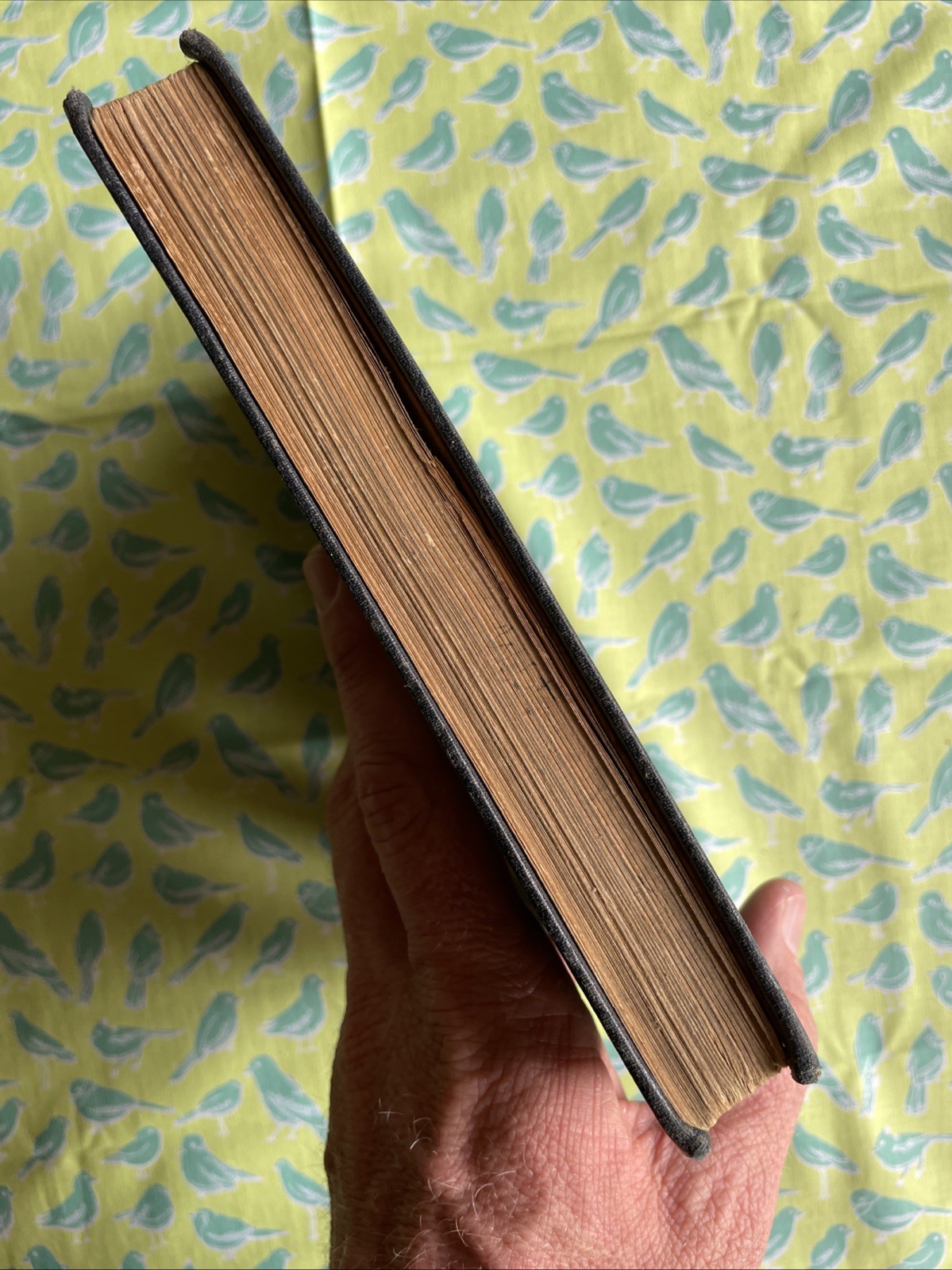 Plane Geometry, Revised by Palmer, Taylor & Farm (1924 VTG HC Textbook)