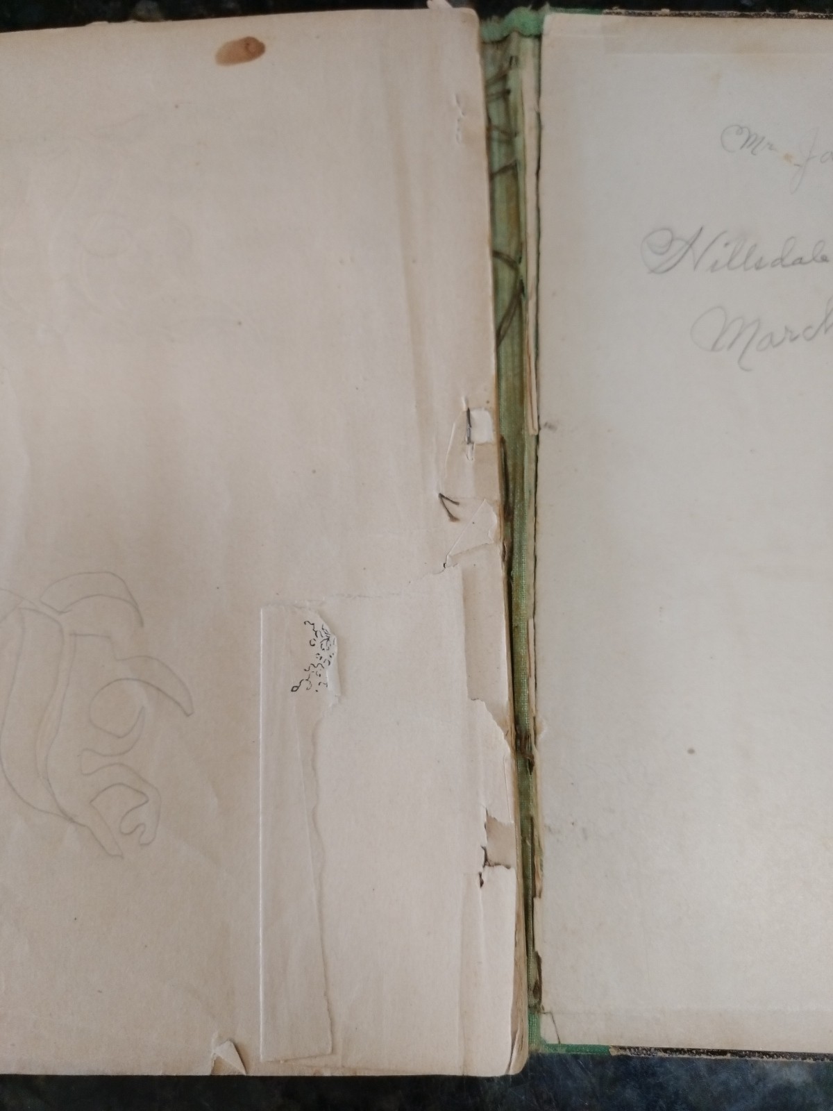 ©1882 REAL PEN-WORK SELF-INSTRUCTOR IN PENMANSHIP Knowles & Maxim Publ., illustr