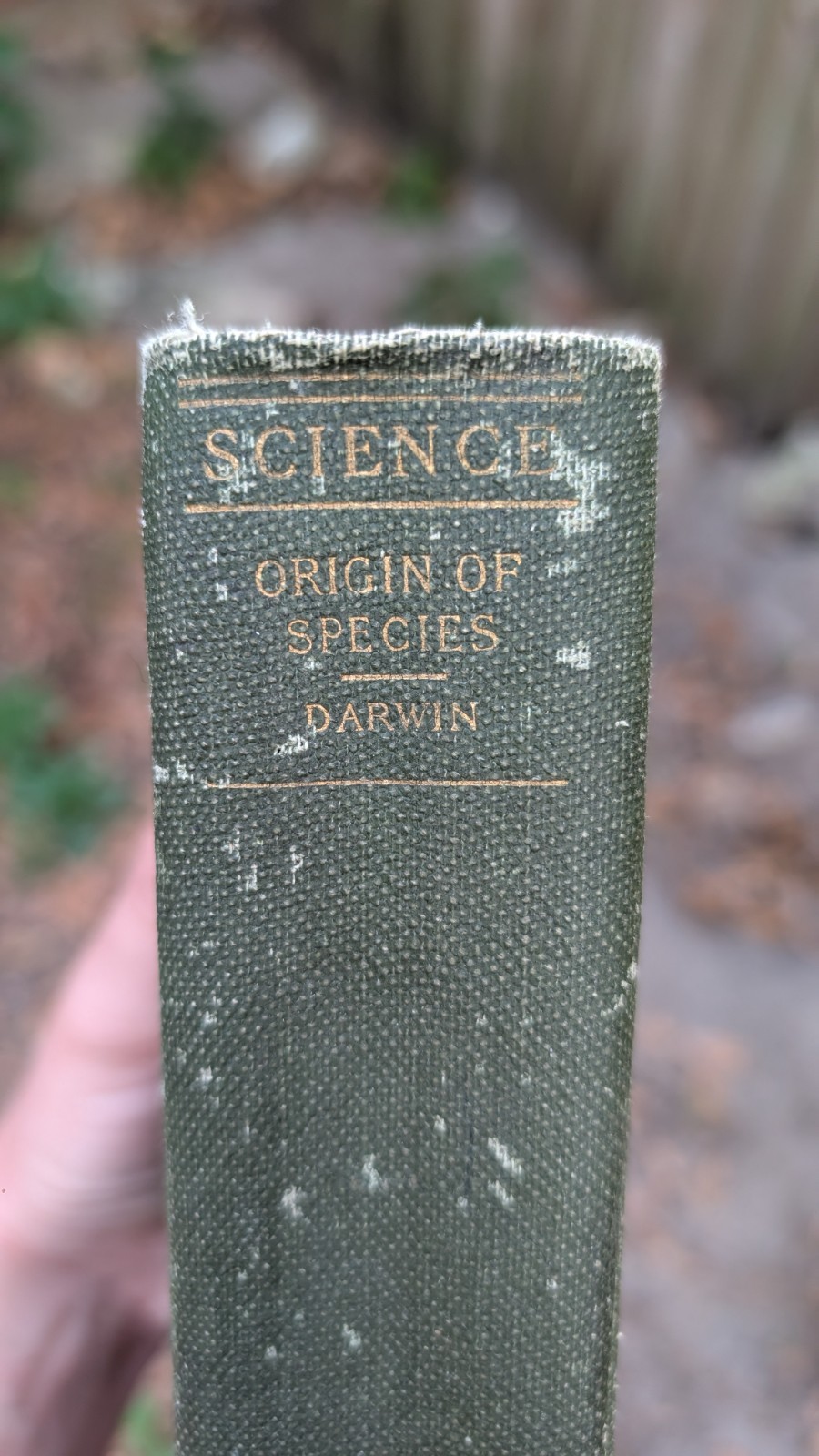 Rare January, 1872 (Sixth Edition) Antique Charles Darwin Origin Of Species