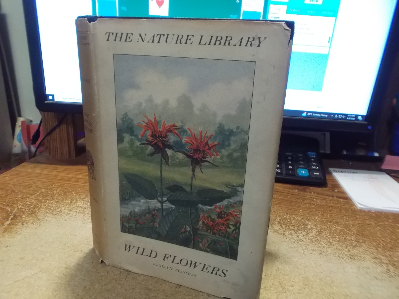 Nature Library – Wild Flowers – Neltje Blanchan – 1926 – HC/DJ